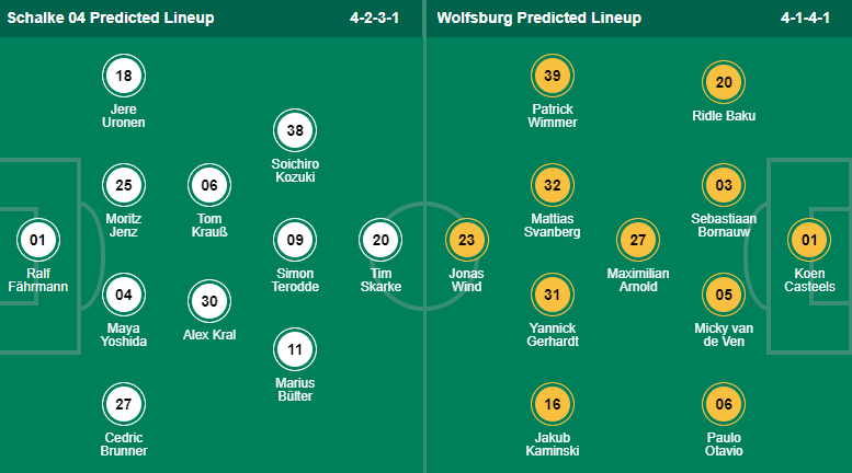 Tiên tri mèo Cass dự đoán Schalke vs Wolfsburg, 2:30 sáng ngày 11 tháng 2 - Ảnh 6